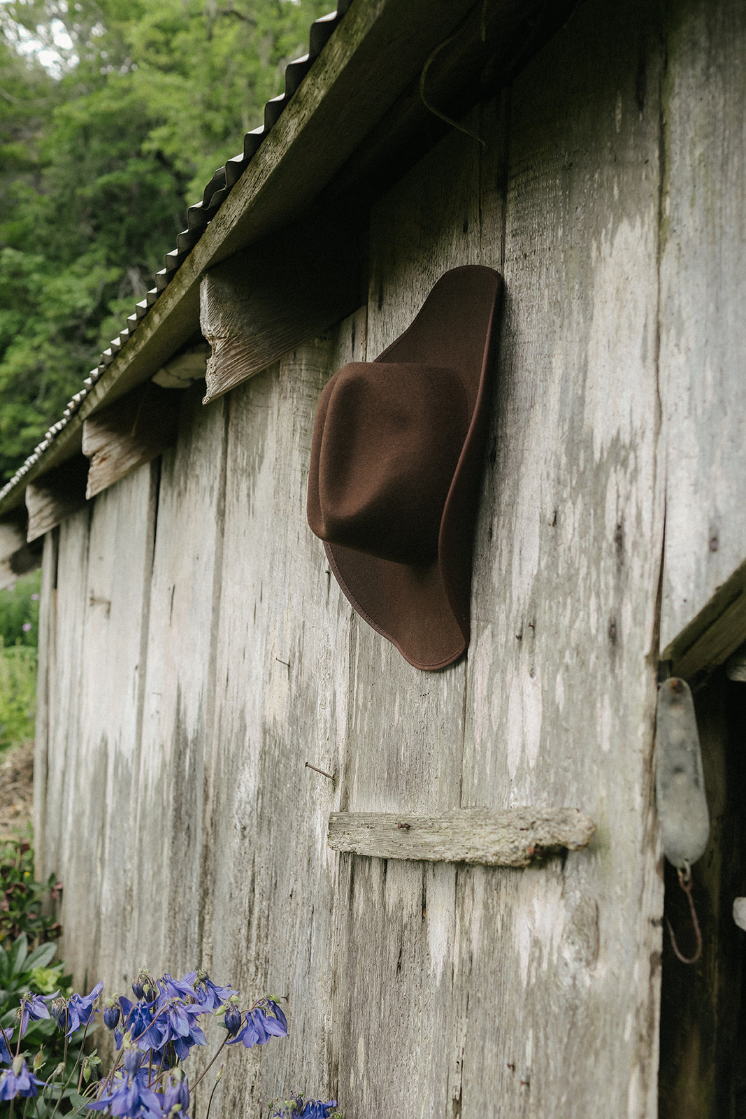 Laney | Western Rancher | Cocoa
