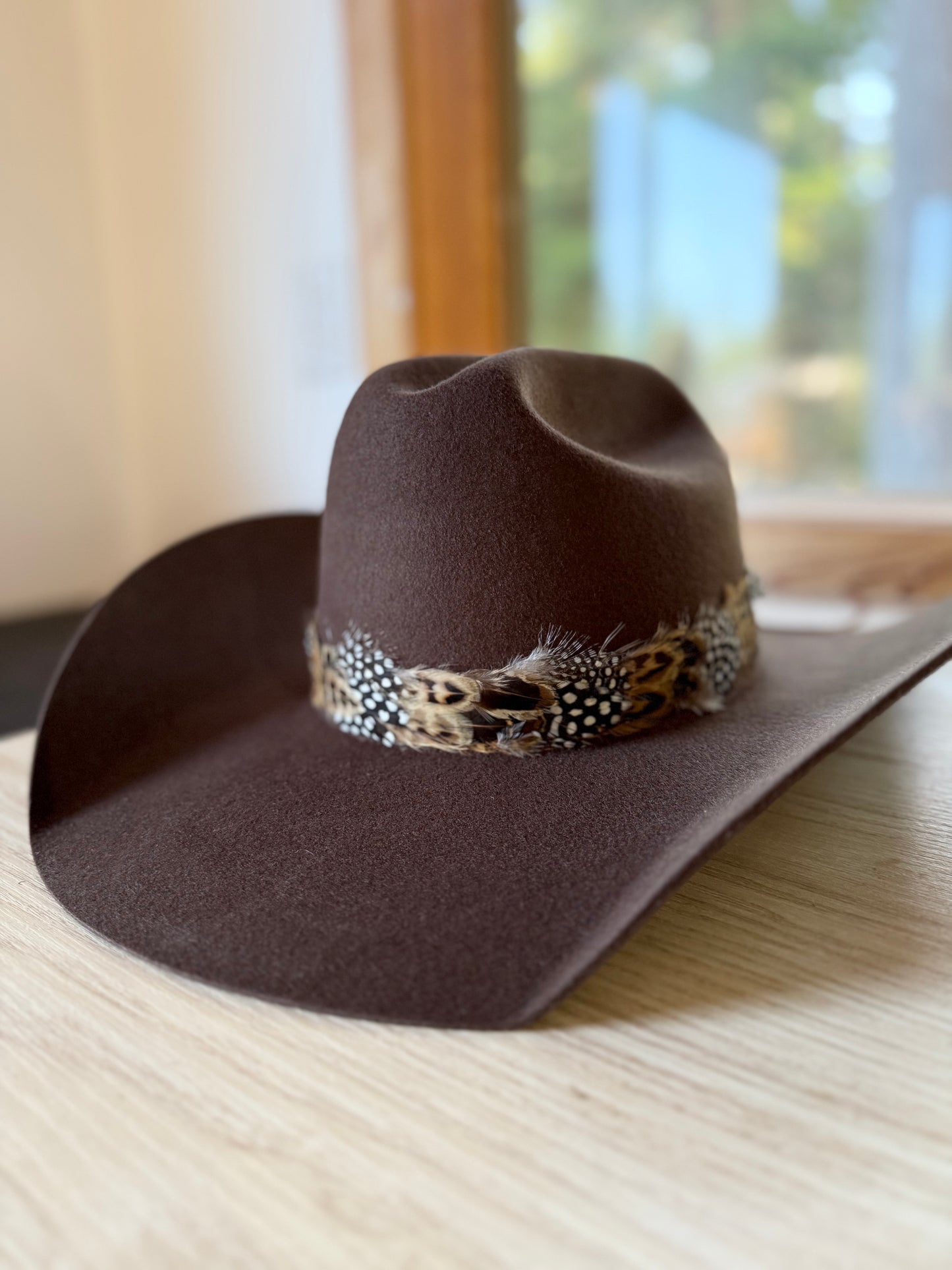 Feather Hat Band