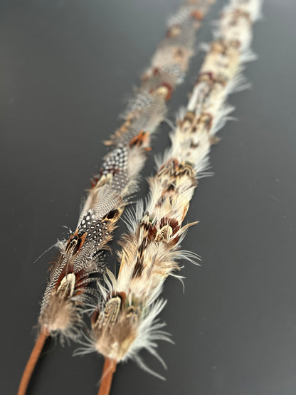 Feather Hat Band