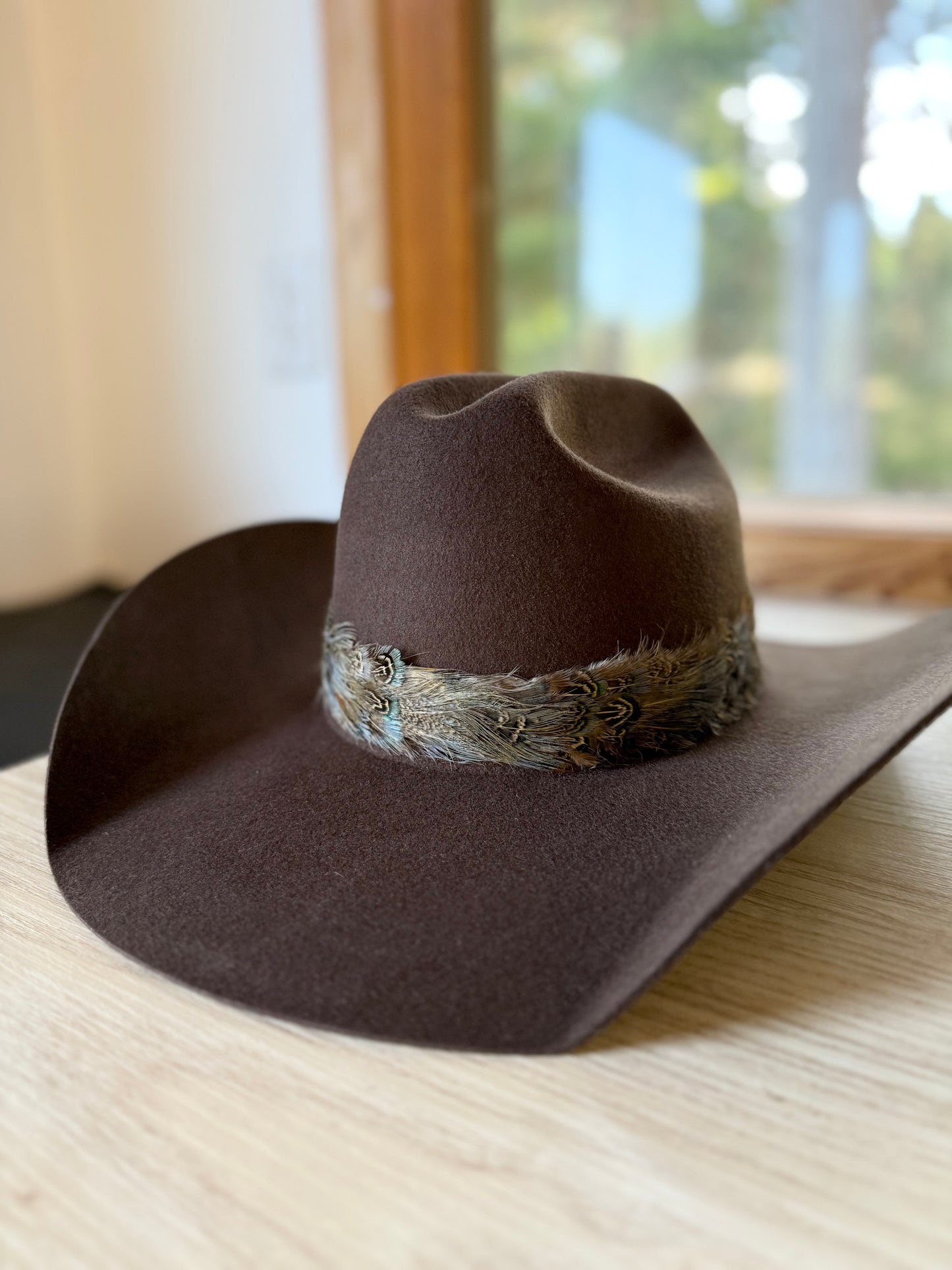 Feather Hat Band