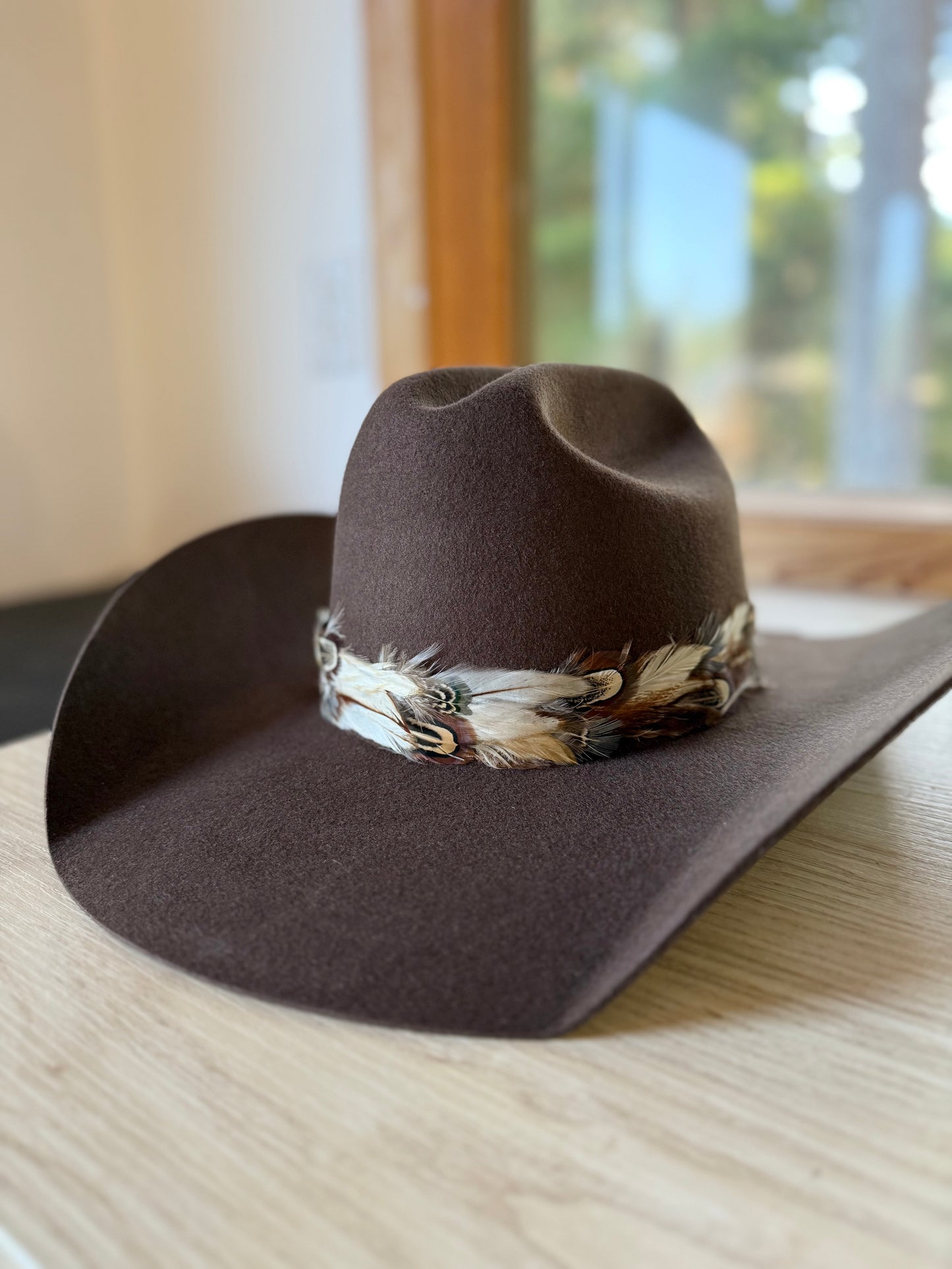 Feather Hat Band